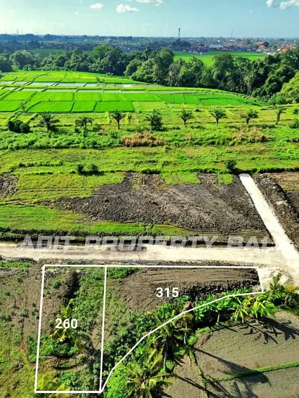 Tanah View Sawah Kedungu Kediri Tabanan