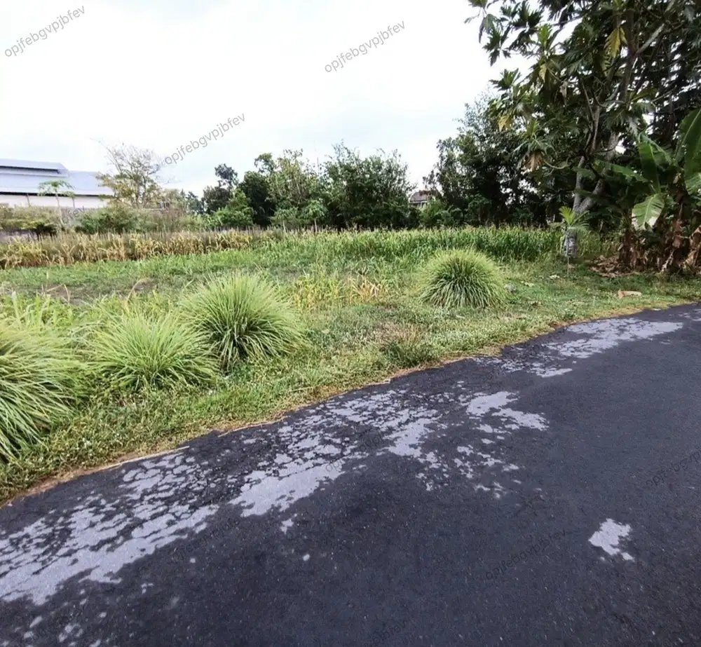 Tanah SHM 177m², Lebar Depan 8.5m Dekat Pasar Rejodani Sleman