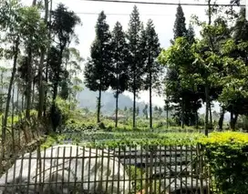 Dijual Murah Tanah Kavling Panorama Lembang Bandung