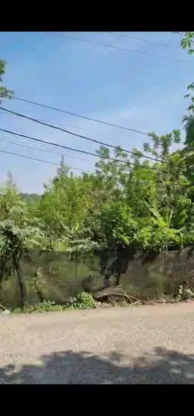 Dijual Kebun Gaharu di Tangerang