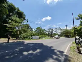 Dijual Cepat Tanah di Klaten Tepi Jalan Aspal Jatinom Muka 22 Meter