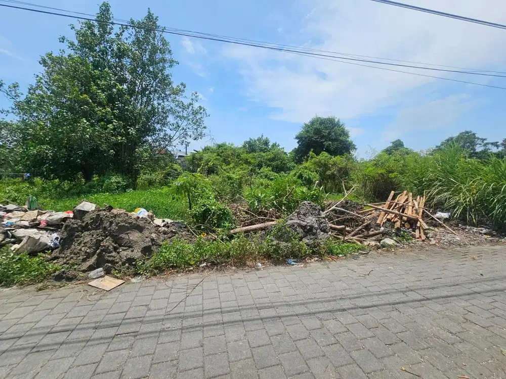 Jual Tanah Ukuran 4.4are Lokasi Munggu Canggu area Investasi Strategis