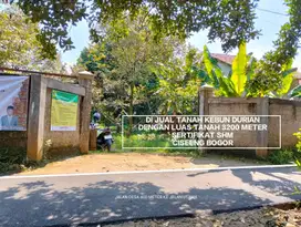 TANAH KEBUN MURAH KEBUN DURIAN DAN STRATEGIS DI CISEENG BOGOR