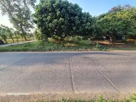 Dijual Cepat Tanah Darat Potensial Murah Di Setu Bekasi.