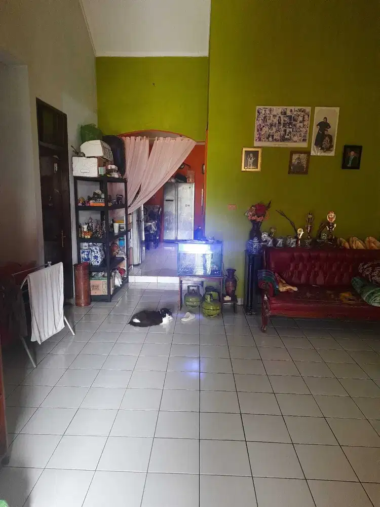 Rumah Dijual Cepat Di Cluster Sutera Delima Alam Sutera Tangerang