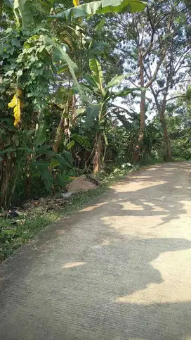Di Jual Murah Tanah Lt 1100m,Dekat Gerbang Toll