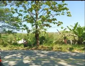 Dijual Tanah Perumahan Jl. Kompol R. Soekanto Tembalang Semarang