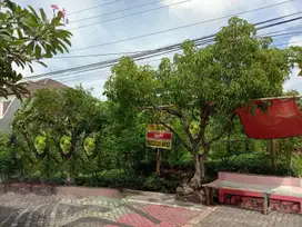Dijual Tanah Strategis Siap Gempur Lokasi Jl. Kijang Semarang