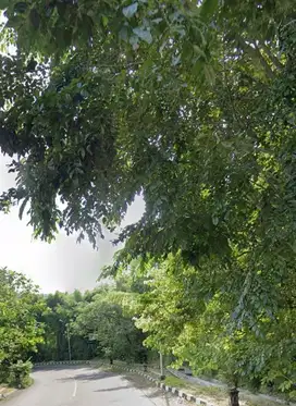 Dijual Tanah Luas Lokasi Sadeng Gunung Pati Semarang