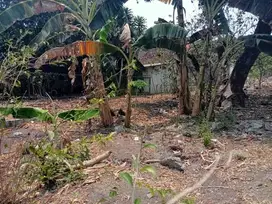 TANAH MURAH SHM DI PUSAT KOTA JOGJA TEPI JALAN BESAR