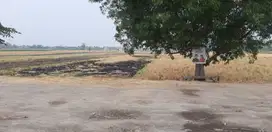 Lahan Plot Industri di Wringinanom Gresik