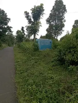 Dijual Tanah Luas Lokasi Sukorejo Kendal Cocok Untuk Pabrik