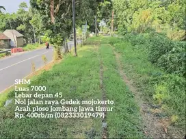 Termurah 400 rb/m tanah nol jalan raya gedeg mojokerto