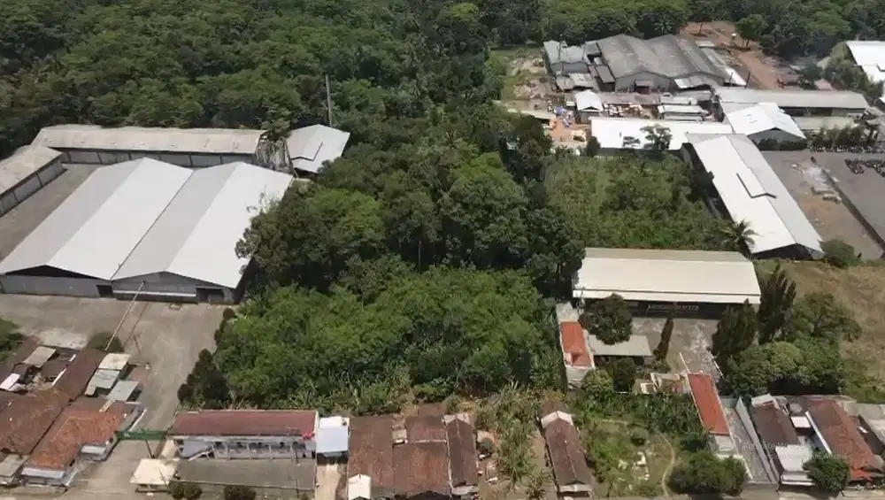 Dijual Tanah Luas Lokasi Jalan Pantura Kendal Batang