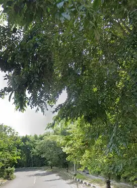 Dijual Tanah Luas Sebelah Jalan Raya Di Gunungpati