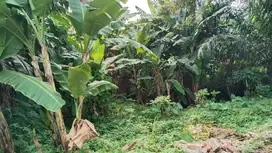 Tanah kavling 530 meter SHM masuk mobil di sawangan baru depok