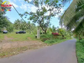 Dijual Tanah Kebun Bonus Bangunan di Tepi Jl. Desa Grogol Banyuwangi