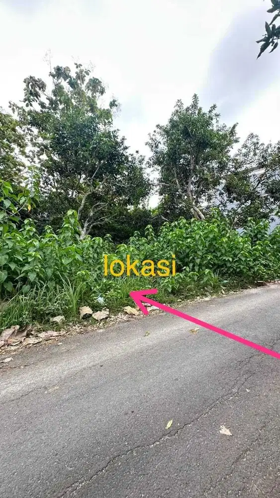 Jual Murah Tanah Luas 210m2 lokasi Kutuh Badung Kuta Selatan Bali