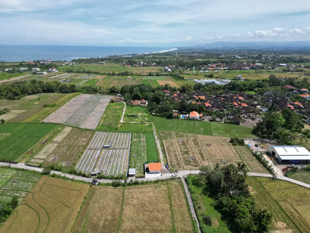 Dijual Tanah Dekat Jalan Raya Wisata Pantai Tanah Lot