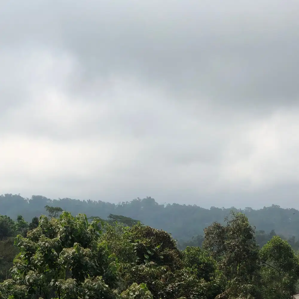 Tanah murah di baturiti bedugul tabanan