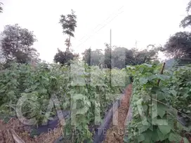 MURAH BANGET TANAH di SAYAP SETIABUDI DEKAT ELDORADO