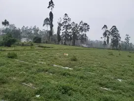 Jual Tanah Datar Cocok Buat Pertanian & Perumahan Pangalengan Bandung