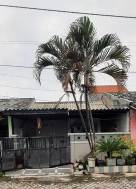 Rumah Murah siap Huni di Perum Wahyu Taman SARIROGO, Sda