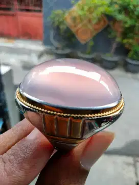 Lavender batu raja super jumbo