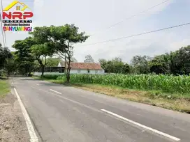 Dijual Tanah Strategis Dekat Politeknik Negeri Arah Bandara Banyuwangi