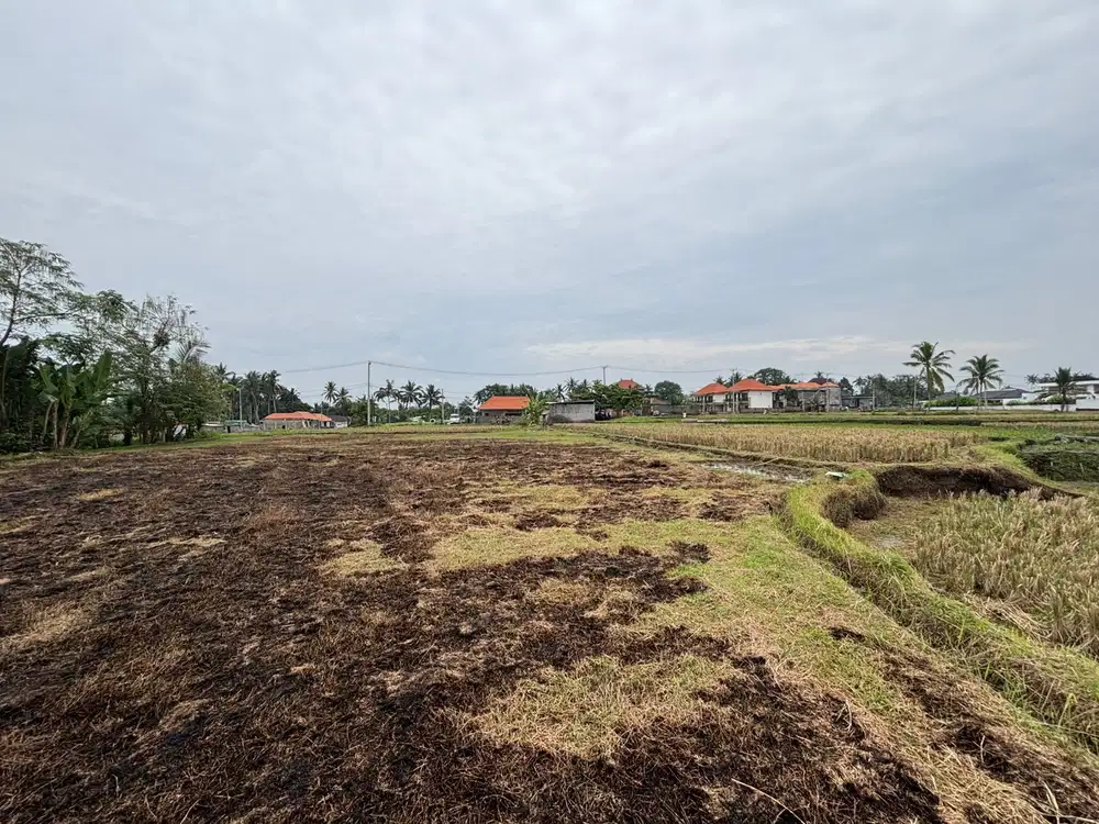 Dijual tanah pejeng kawan dekat ke ubud