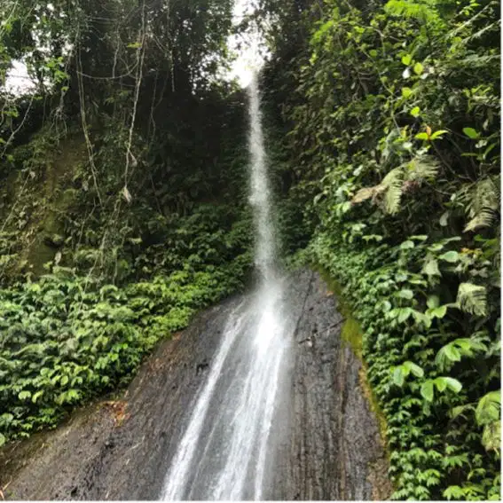 Kebun View cantik di Bali jarang ada