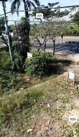 Tanah Strategis Area Bisnis Lamongan Kota