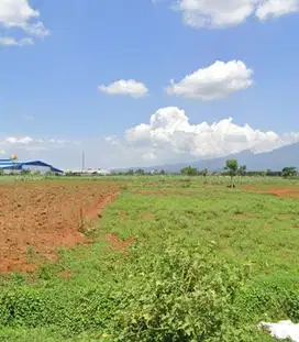 DIJUAL TANAH INDUSTRI DI JEPARA, KALINYAMATAN & PECANGAAN, JEPARA