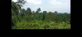 Dijual tanah dekat wisata dan hotel di Wonosalam