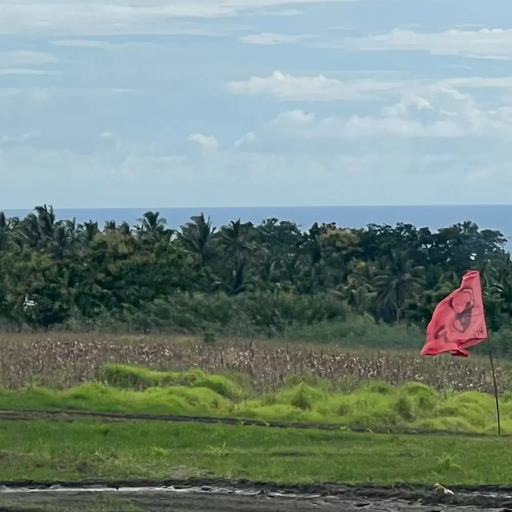 Di jual tanah view sawah ,gunung dan laut di tabanan