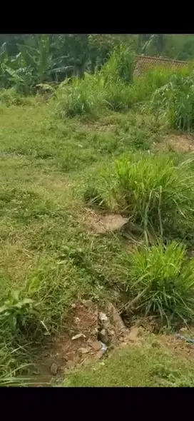 Di jual tanah wonosalam jombang