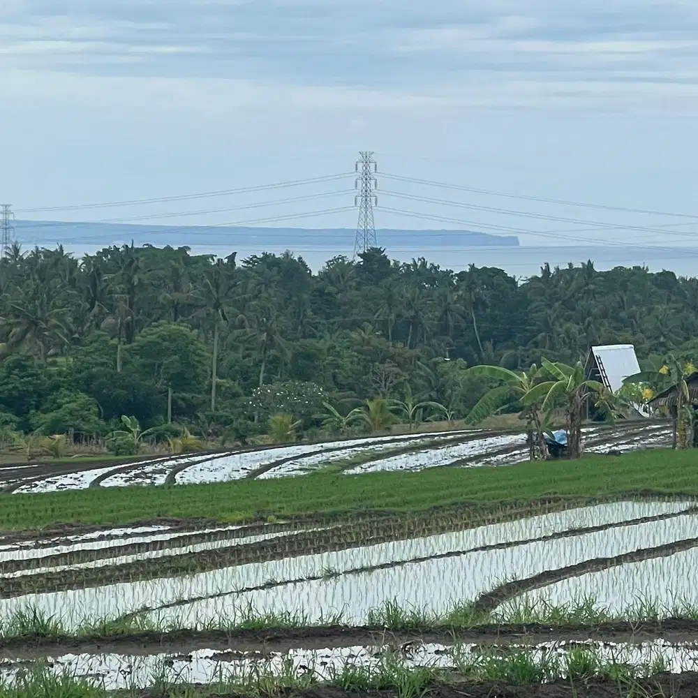 Di jual tanah view sawah ,gunung dan laut di tabanan