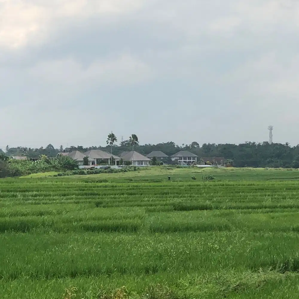 Di jual tanah murah di pantai klecung tabanan