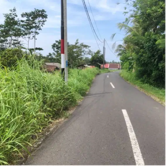 Tanah view sawah Dan gunung di tabanan