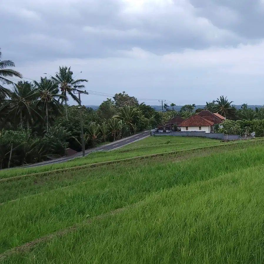 Tanah murah di dekat pantai balian beach