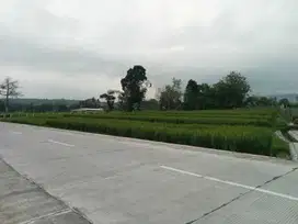 Tanah pertanian subur view indah dimatesih