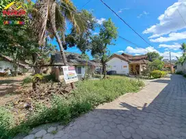 Dijual Tanah Kering Akses 50 Meter dari Jl. Kepiting - Banyuwangi