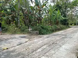 Tanah Murah karangpandan