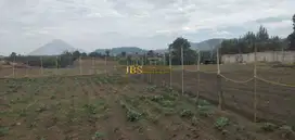Tanah Dijual di Jalan Kebun Bunga - Dolat Rayat, Karo