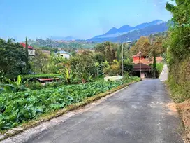 Tanah murah kemuning