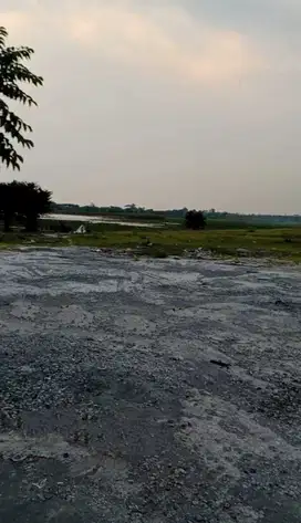 DIJUAL TANAH KALIWUNGU KENDAL ZONA MERAH/ INDUSTRI