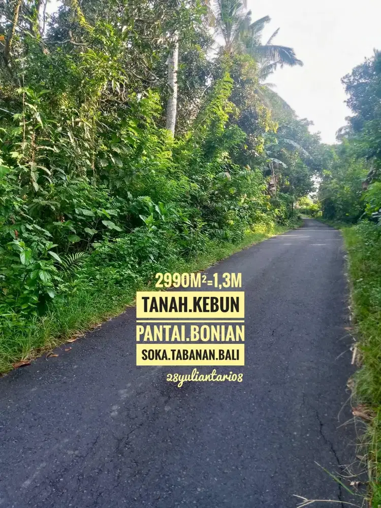 Tanah kebun cck Vila Cafe Pabrik area Pantai Bonian Soka Tabanan Bali