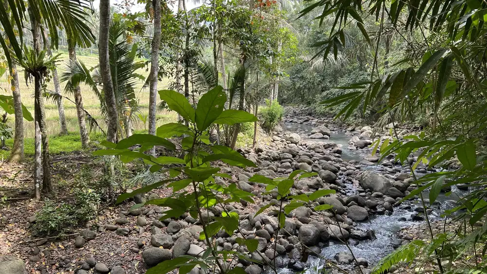 Di jual tanah dengan view sawah los sungai di tabanan bali