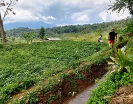Tanah kebun, ada sumber air bisa bikin kolam