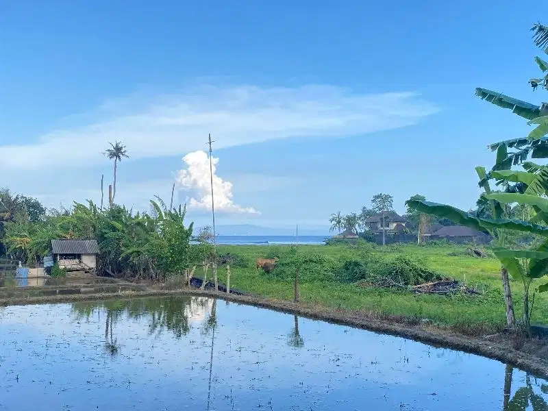 Tanah Strategis di Gianyar Bali Dekat Pantai Sanur Cocok Villa